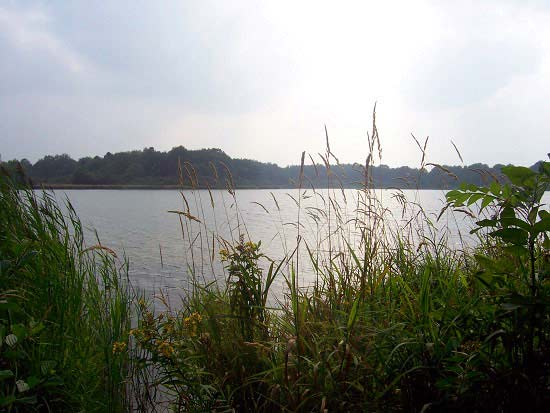 Dreifelder Weiher, Westerwälder Seenplatte