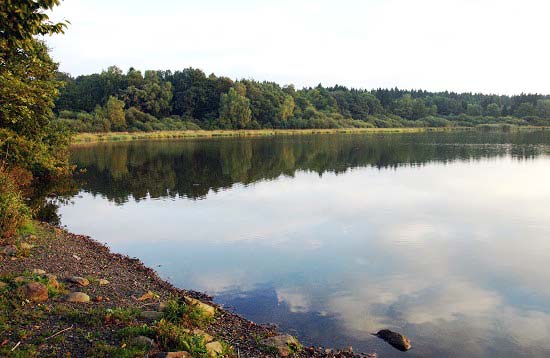 Haidenweiher, Westerwälder Seenplatte