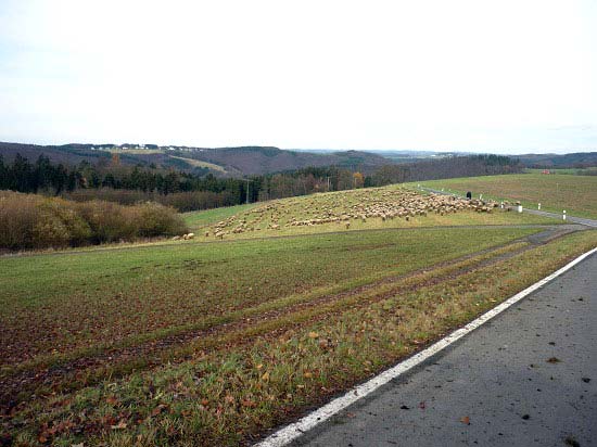 Kroppacher Schweiz, Landschaft