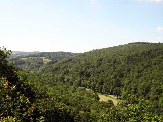 Westerwald - Wandern in der Natur